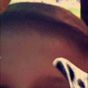 Meet your Posher, Taylortaylor